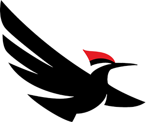 Stylized black bird in flight, with outstretched wings and a red crest on its head, depicted in a minimalist and modern design on a white background.
